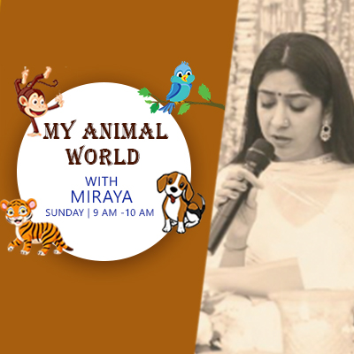 animals day -podcast-Aishwarya 